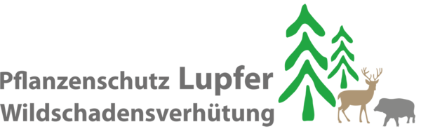 Verbissschutz Lupfer